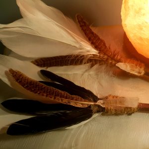 feather and crystal sage smudge fan